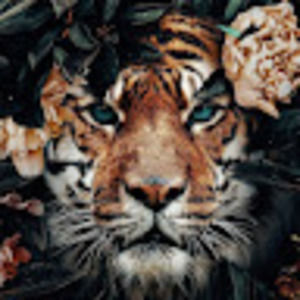 Meet your Posher, Zoe